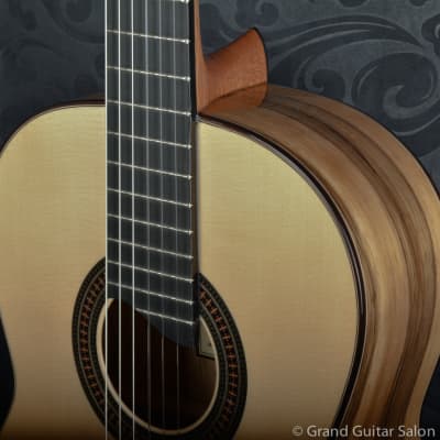 Raimundo Tatyana Ryzhkova Signature model, Spruce top classical guitar image 17