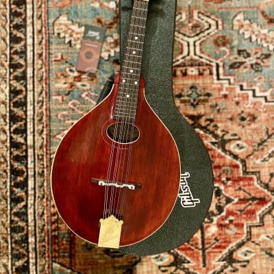 One-of-a-kind Restored Gibson A2 Model 1921 two-tone Mandolin w/ Hardshell Case, extra bridge & saddle image 3