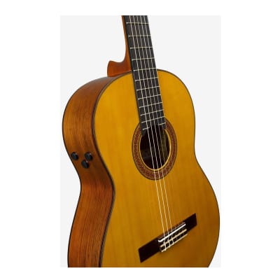 Yamaha CG-TA Transacoustic Nylon String Cg Guitar image 3