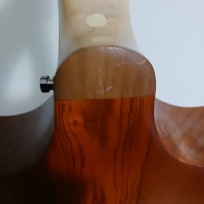 Philippe Berne 'Aperggione' 6 string guitarviol/cello 2011 - rosewood, spruce, maple image 4