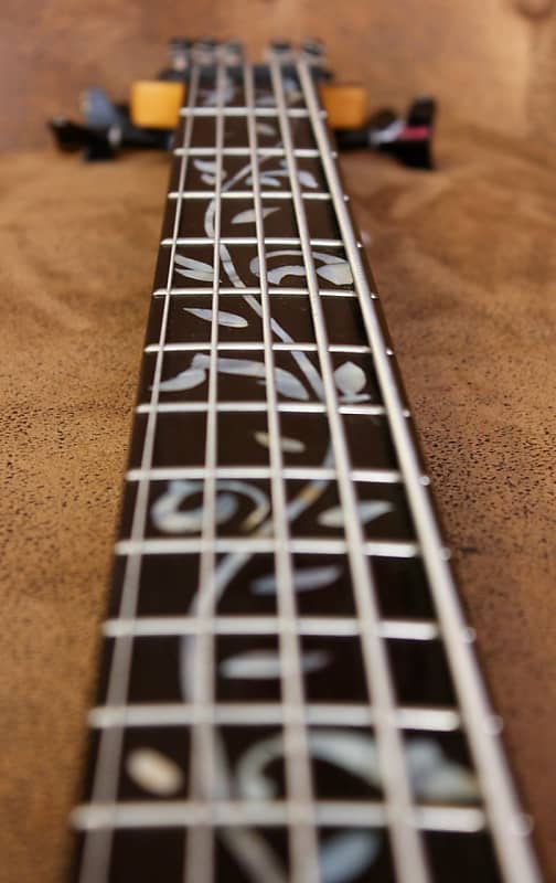 Raven West Guitars RBS 5500 LEFTY 5 STRINGS | Reverb