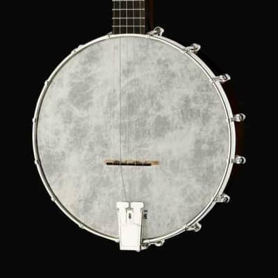 Recording King RKOH-05 Open Back 5-String Banjo. New, with Full Warranty! image 10