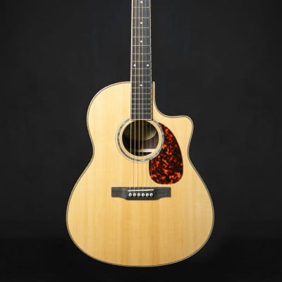 Larrivée LV-09 Artist Series Acoustic Guitar for sale