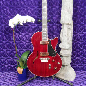 NEW Vox Virage VGSCRD Deep Cherry / Semi Hollow Body