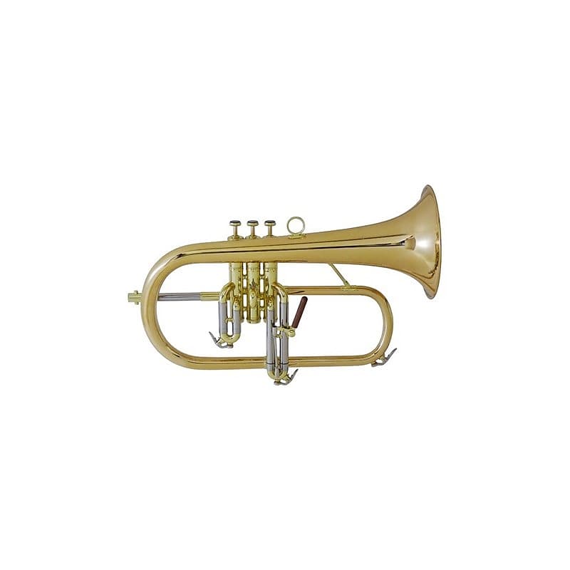 CAROL BRASS Carol Brass / N6200 GB [Bb Flugel Horn] [New, Reverb