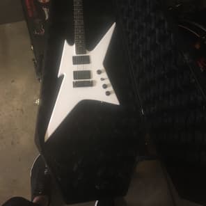 Bc rich sale ironbird case