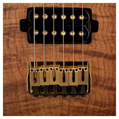 Feline Guitars Shred Lion No.1 image 2