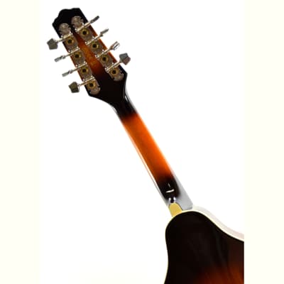 Ibanez M510E-BS Acoustic/Electric Mandolin 2020 Brown Sunburst image 9
