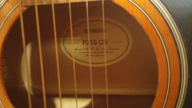 F310 cs 2025