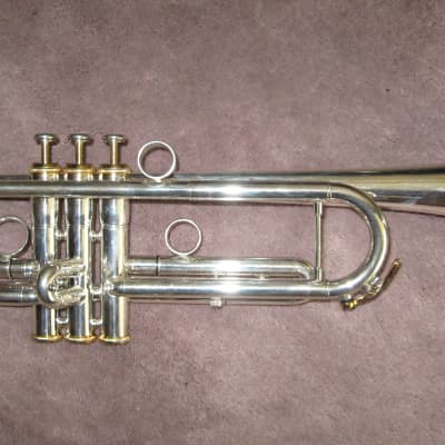XO RV-S PROFESSIONAL TRUMPET - Silver Plate with Gold Trims | Reverb