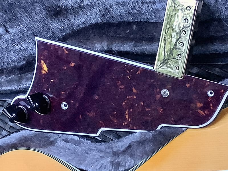 Kent Armstrong D'Angelico tortoise Pickguard floating pickup Reverb