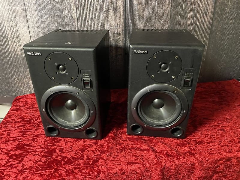 Roland DS-7 Studio Monitor(Pair) (Brooklyn, NY)