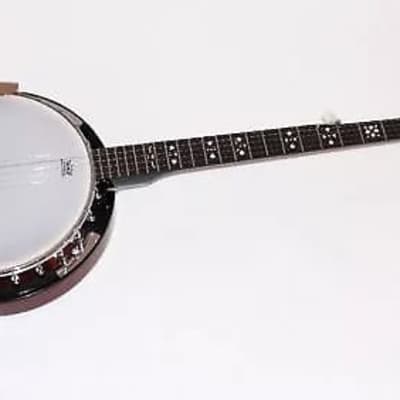 Danville USA 5 String Banjo 24 Brackets BJ24 2020 image 1