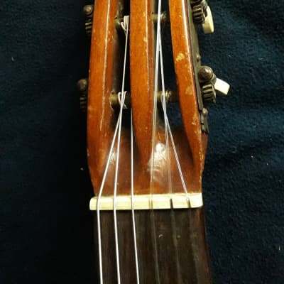 German Lute-guitar (1930) image 13