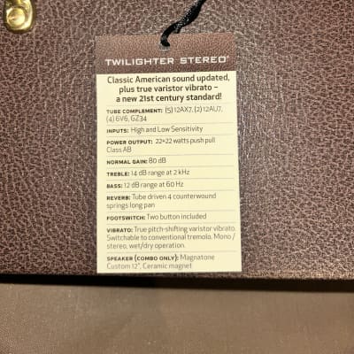 Magnatone Stereo Twilighter 22-Watt 2x12 Never Played Brand, New in Box image 2