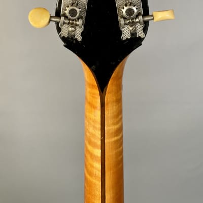 Gibson TB-4 Tenor Banjo 1922 Cremona Burst image 13
