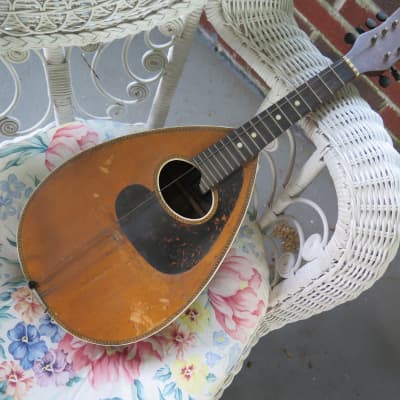 RARE vintage 1910 Victoria (Oscar Schmidt) flat-back mandolin New York / luthier project image 2
