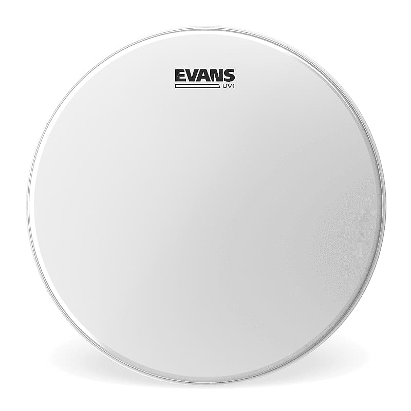 Evans 	 B15UV1 UV1 Coated Drum Head - 15" image 1