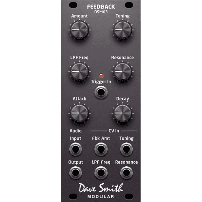 Dave Smith Instruments DSM03 Feedback Module