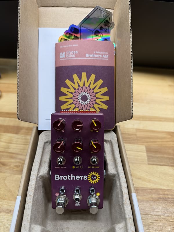 Chase Bliss Audio Brothers AM