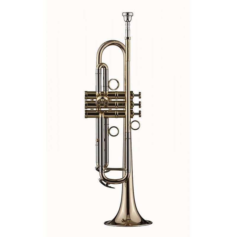 SCHAGERL APREDATO James Morrison モデル - 管楽器