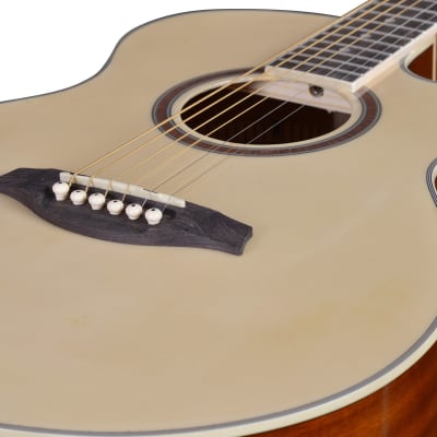 Artist LSPSNT Small Body Beginner Acoustic Guitar Pack image 7