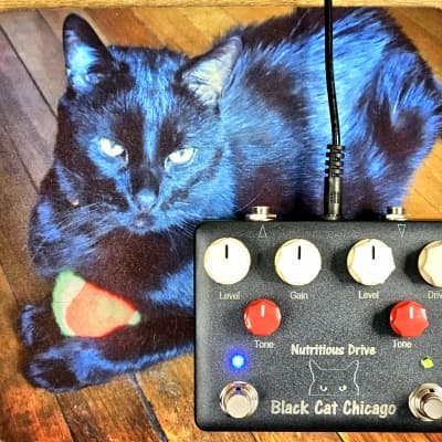 Reverb.com listing, price, conditions, and images for browne-amplification-protein-dual-overdrive-black