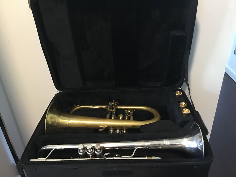 Protec Double case for trumpet, flugelhorn Reverb