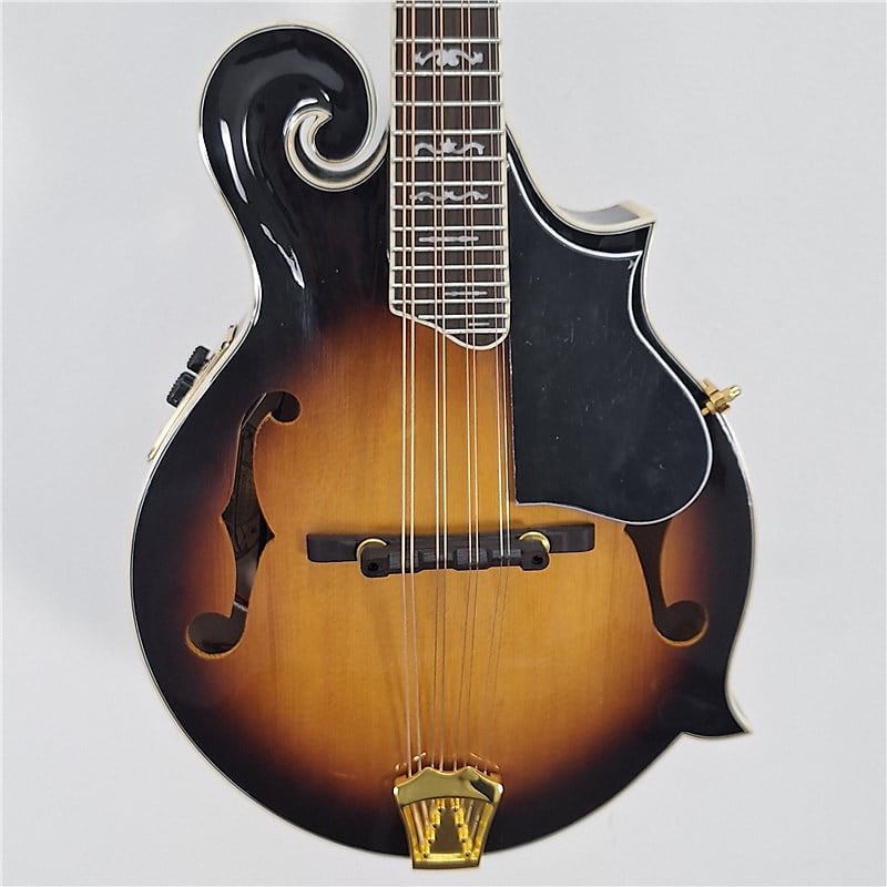 Ozark 2255E F Model Electro Mandolin, ExDisplay Reverb