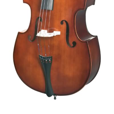 Stentor 1951-3/4 Student Series Solid Carved Spruce Front Upright 4-String Double Bass Outfit w/Bow image 2