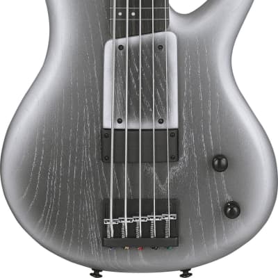 Ibanez Gary Willis 25th-anniversary Signature 5-string Fretless Electric Bass - Silver Wave Burst Flat for sale