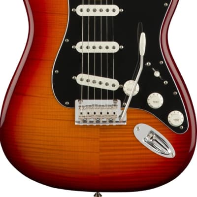 Fender Player Stratocaster Plus Top | Reverb