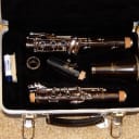Selmer CL201 Wood Clarinet - Barely Used - Demo Model - Free Shipping