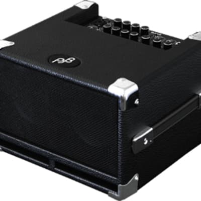 ＰＨIＬ ＪＯＮＥＳ ＢＡＳＳ ＣＵＢ ＰＲＯ ＢＧー100 P: BG-100 Bass Combo Amp “Bass CUB” | Phil Jones Bass