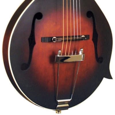 Guitare Mandoline 6 cordes Gold Tone F-6 (+ étui) image 1