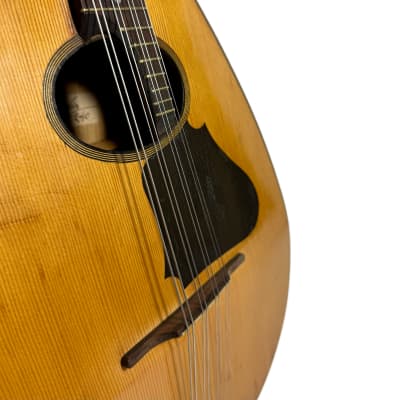 Concert Mandola Flat-Back Emanuele Egildo N°240 from 1920 image 5