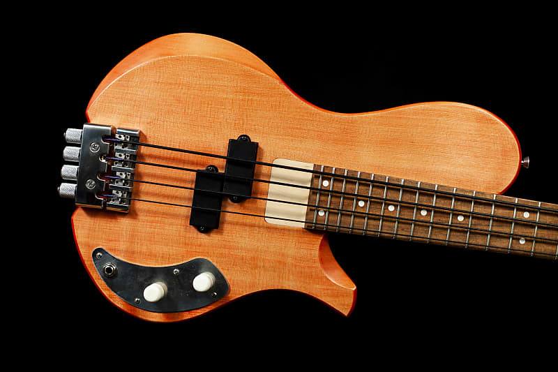 Island Instruments Beanstock Bass Prototype Headless Short Reverb