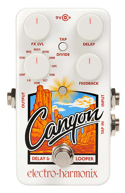 Electro Harmonix Canyon Delay and Looper, 9.6DC-200 PSU included image 1