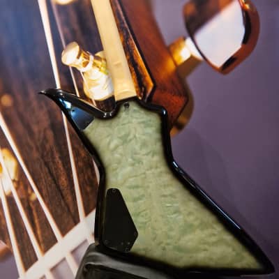 いっきゅう　ドゥ・バール リード 沢山セット Wylde Audio #4521 Blood Eagle Nordic Ice E-Guitar, Zakk