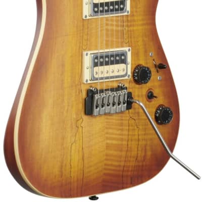 Schecter C-1 Exotic Electric Guitar, Spalted Maple image 5
