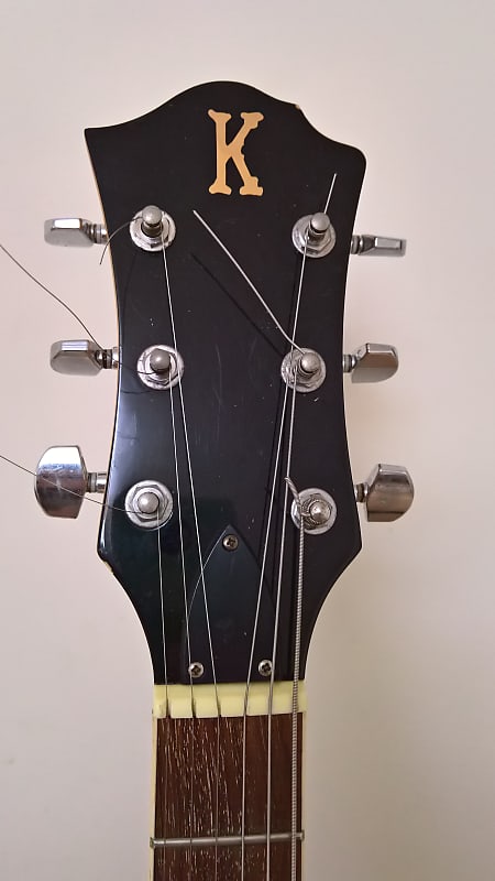 K.Garage Mockingbird Type Electric Guitar Electric Guitar K