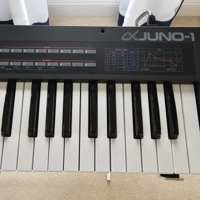 Roland Alpha Juno-1 49-Key Programmable Polyphonic Synthesizer 1985 - 1988 - Black image 11