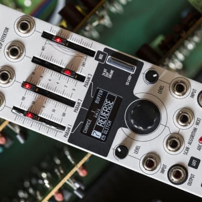 Xaoc Devices Timiszoara - Eurorack Module on ModularGrid