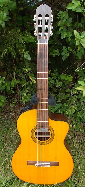 Takamine clearance eg 128