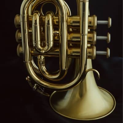 Satin Lacquer ACB Doubler's Large Bell Pocket Trumpet! image 1