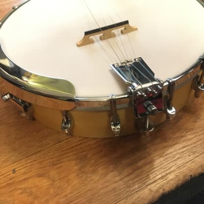 Ashbury AB-25/5 2016 5 String Banjo + Diamond inlays on a rosewood fingerboard. image 3