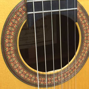Martin C-TSH Martin-Humphrey Nylon Classical Elevated fingerboard rare & unique guitar image 5