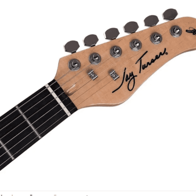 Jay Turser Jay Turser JT-LT-N LT Series Single Cutaway Solid Body Maple Neck 6-String Electric Guitar image 1
