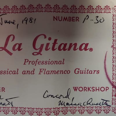 1981 Thomas Knatt La Gitana CSA Rosewood Cedar Top Classical Guitar image 12
