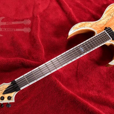 B.C. RICH Shredzilla Prophecy Exotic Archtop with Floyd Rose Left Handed Spalted Maple image 3